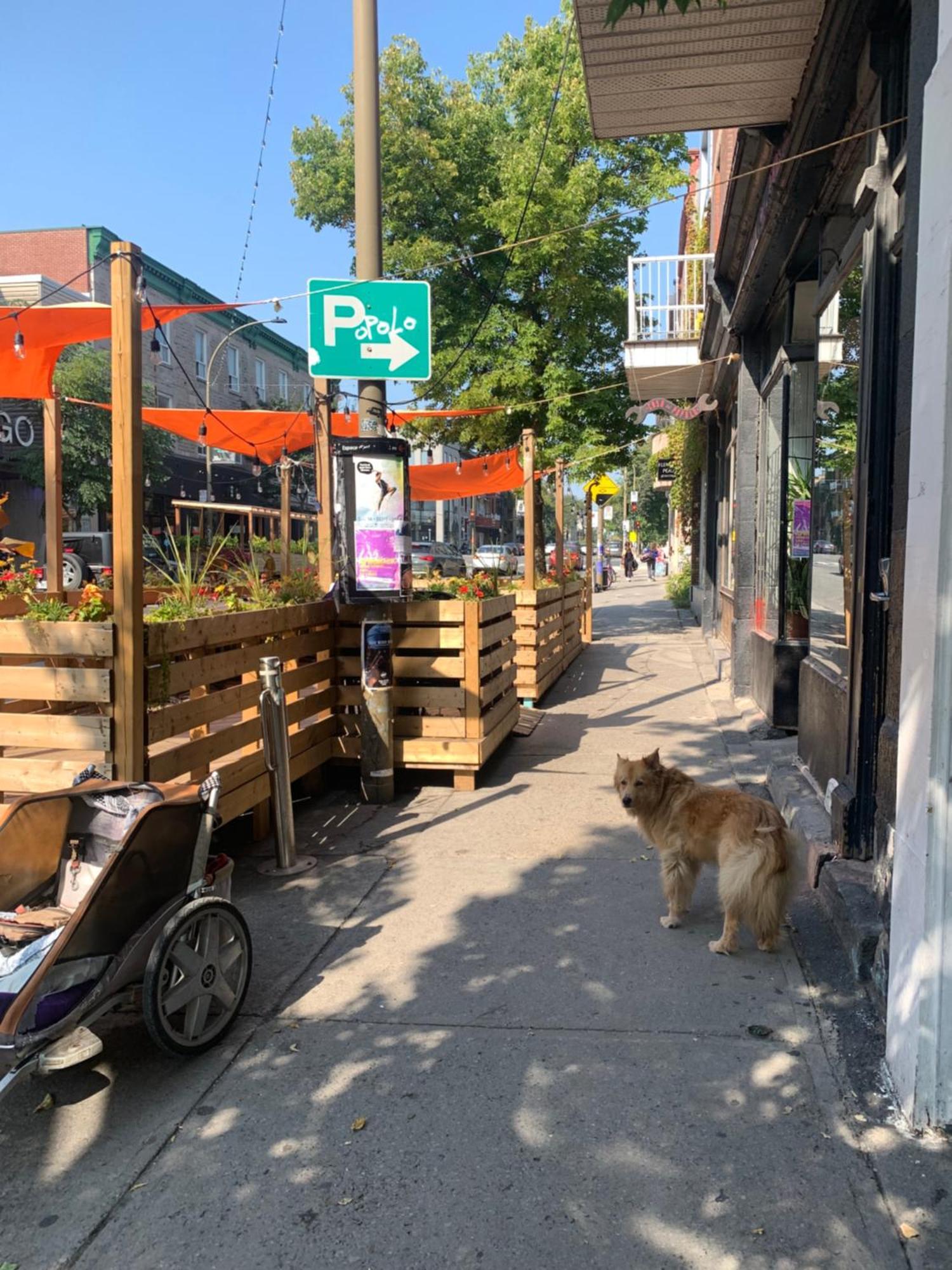 Pensione Popolo Montréal Kültér fotó